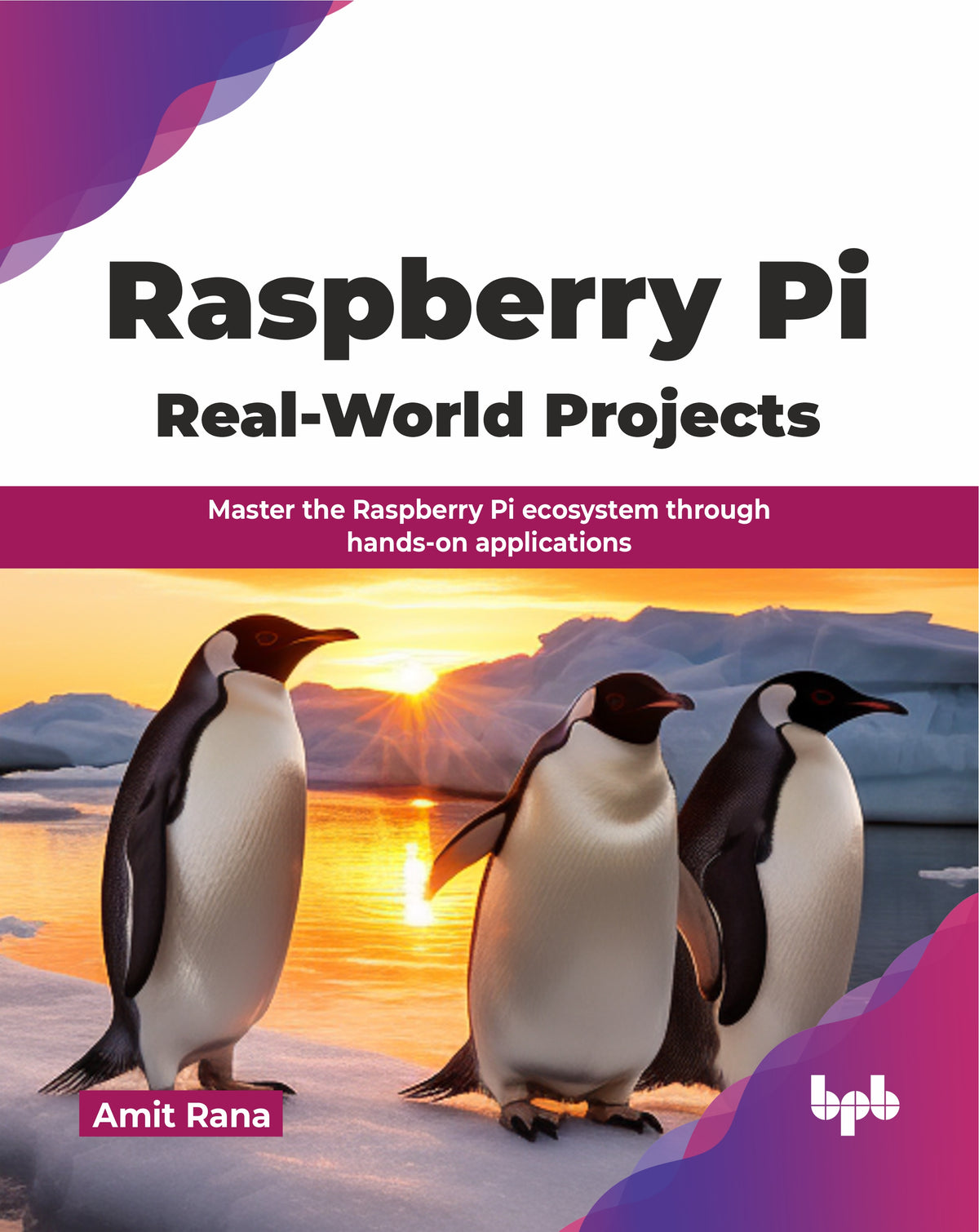 Raspberry Pi Real-World Projects