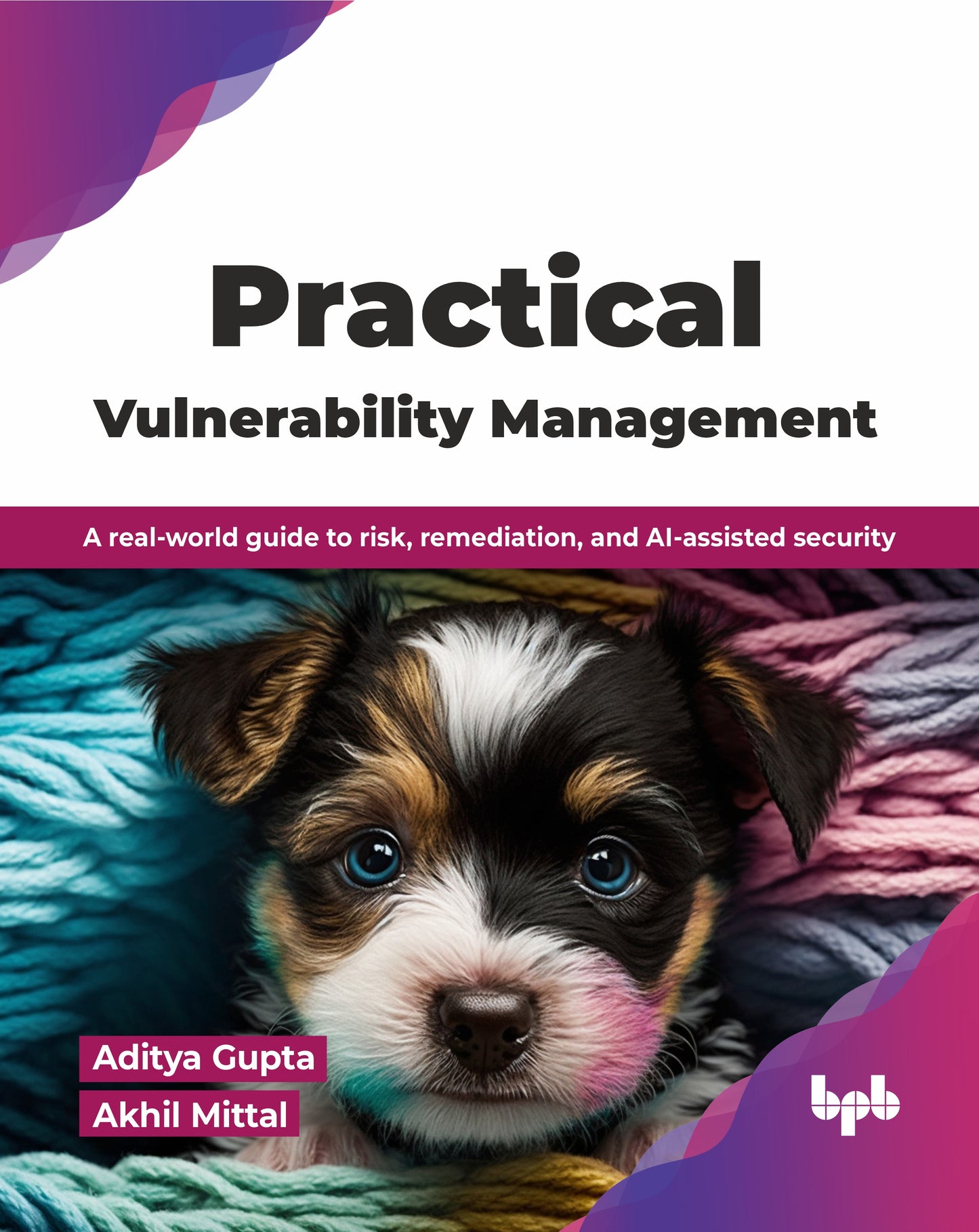 Practical Vulnerability Management