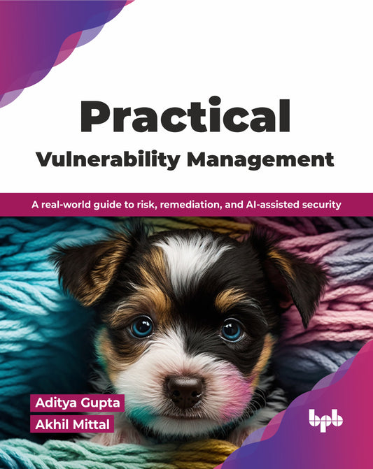 Practical Vulnerability Management