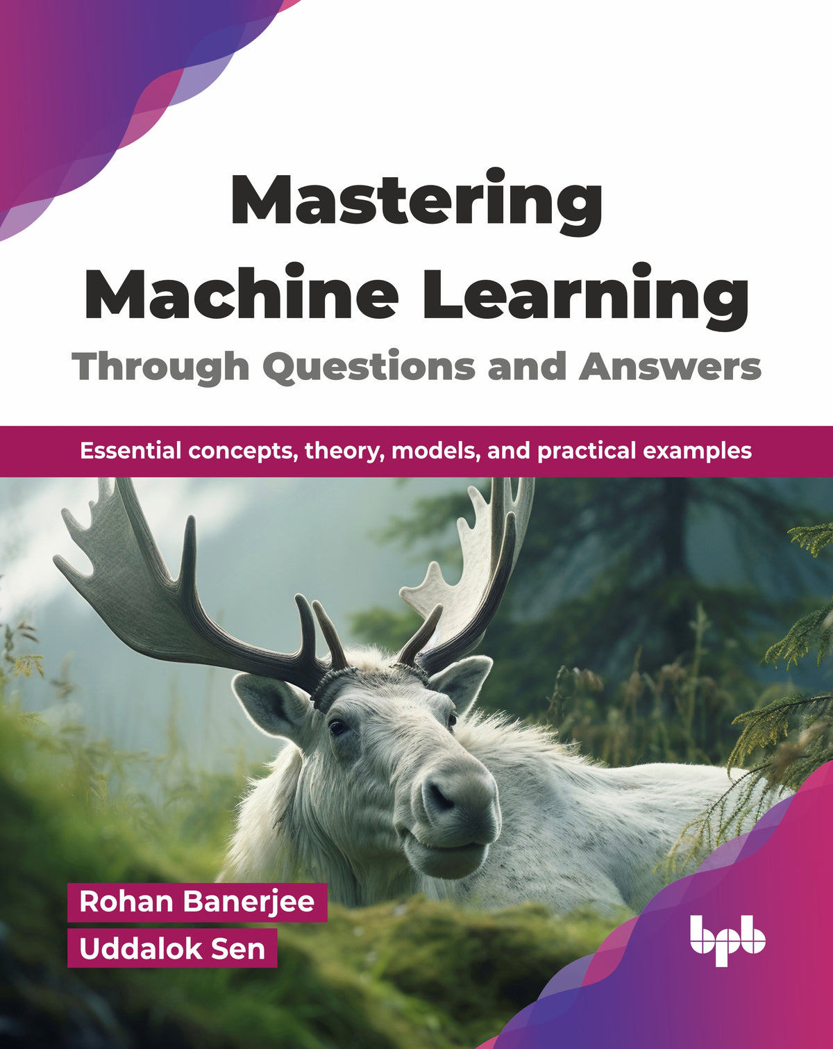 Mastering Machine Learning Through Questions and Answers